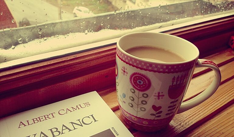 Yabancı: Albert Camus’un Absürt Gerçekliği